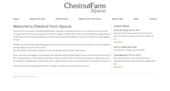 Desktop Screenshot of chestnutfarmalpacas.com